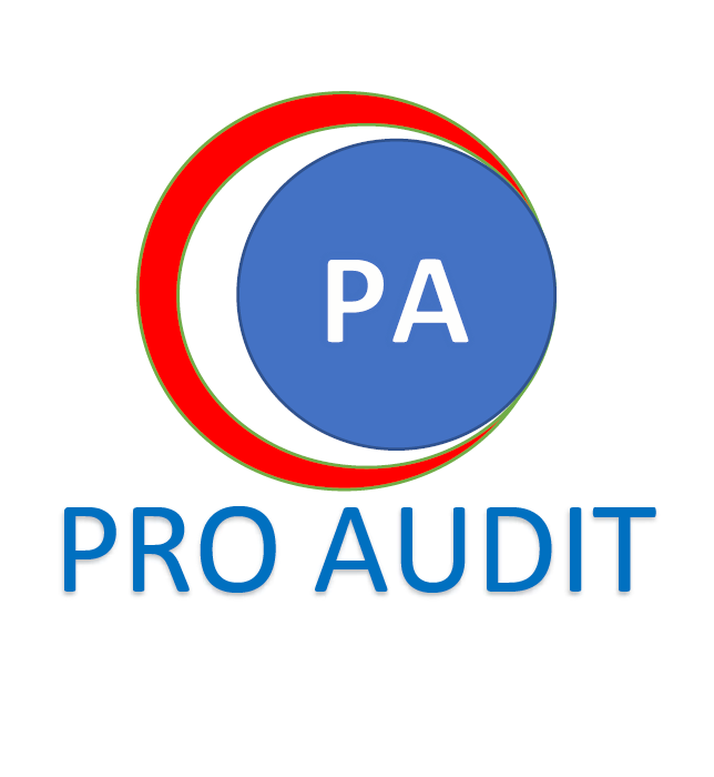 Pro Audit | Building 1G/528 Compton Rd, Stretton QLD 4116, Australia | Phone: 0425 165 112