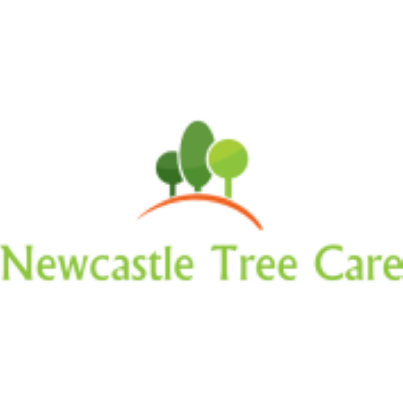 Newcastle Tree Care | 11 Gretel Cres, Booragul NSW 2284, Australia | Phone: (02) 4050 0280