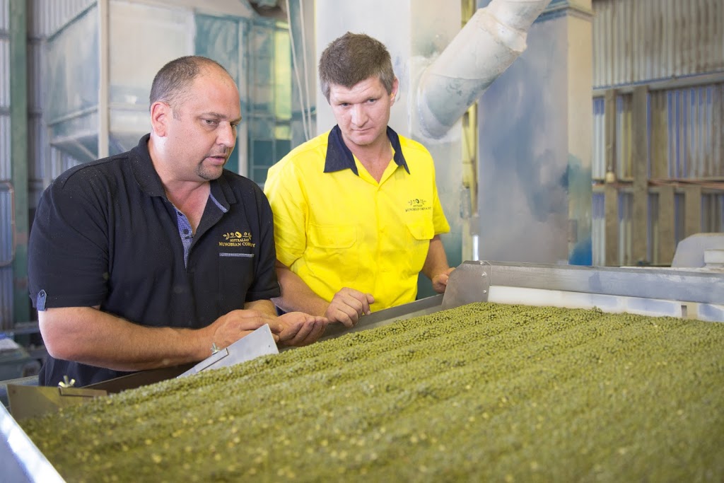 Australian Mungbean Company | 37 Burnett Hwy, Biloela QLD 4715, Australia | Phone: (07) 4992 1133