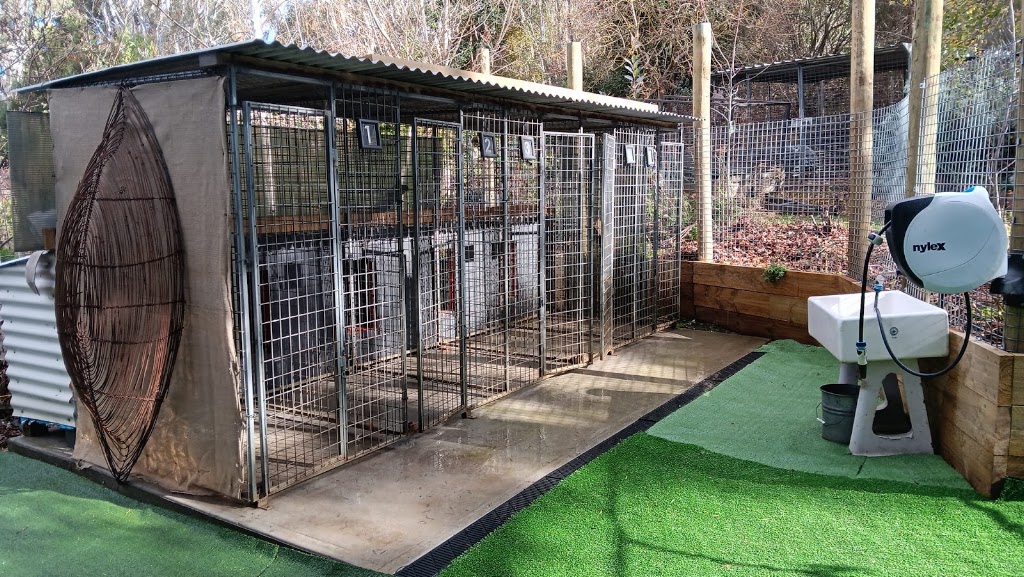 Casterton Dog & Cat Retreat | 23 McCrae Rd, Sandford VIC 3312, Australia | Phone: 0438 668 884