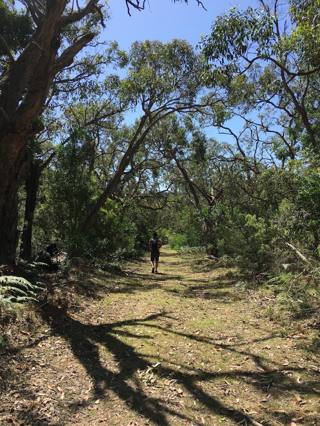 Paestan Canoe Hire | 75 Winnap-Nelson Rd, Winnap VIC 3304, Australia | Phone: 0429 381 875