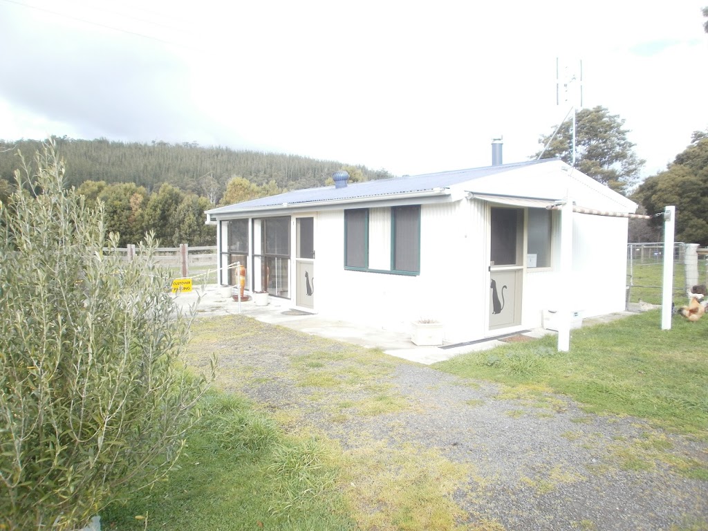 The Boarding Cattery | 2408 Golconda Rd, Nabowla TAS 7260, Australia | Phone: 0407 553 363