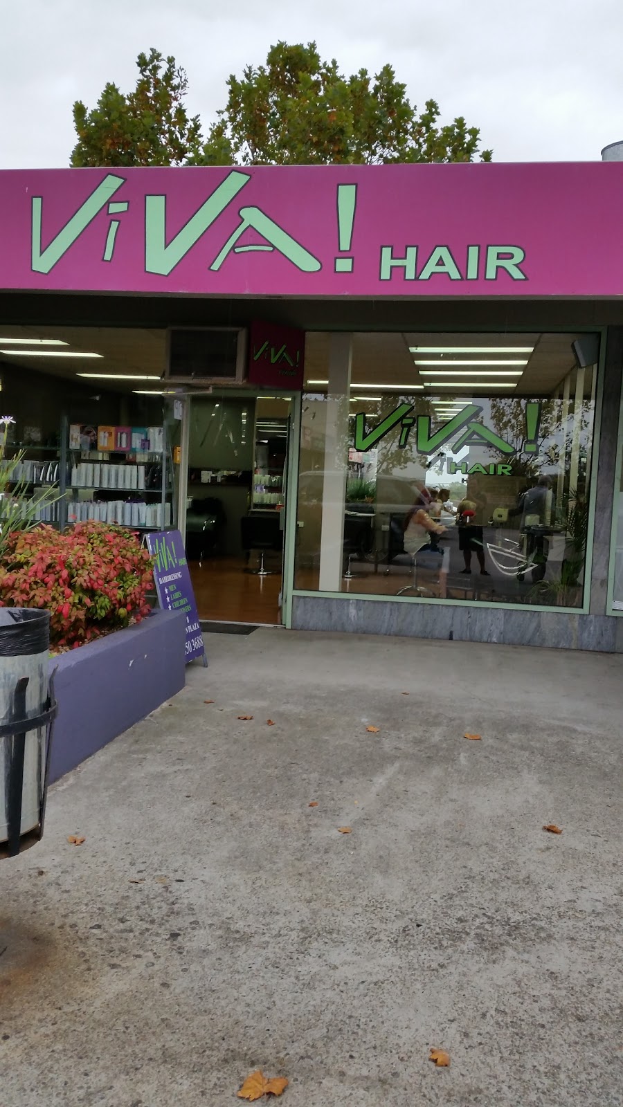 Viva Hair | hair care | Shop 8, Macedon Plaza, 8/325 Manningham Rd, Melbourne VIC 3107, Australia | 0398503688 OR +61 3 9850 3688