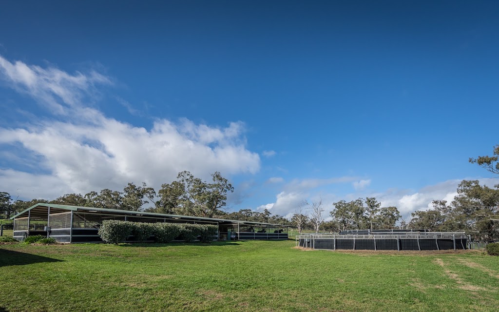 Chatsworth Park | Cliftlands Rd, Scone NSW 2337, Australia | Phone: 0428 631 709