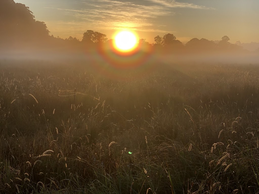 April Rose- somatic psychotherapy | 21 Stuart St, Mullumbimby NSW 2481, Australia | Phone: 0467 602 774