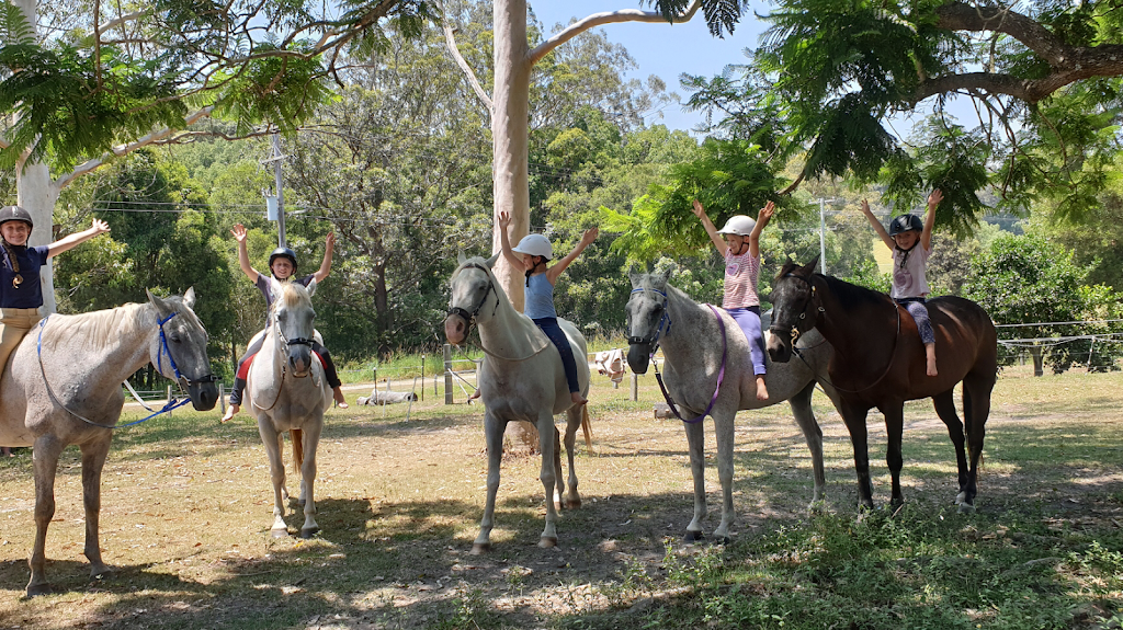 Hyim Stud Natural Horsemanship Centre | 100 Grassy Rd, Bowraville NSW 2449, Australia | Phone: 0457 080 843