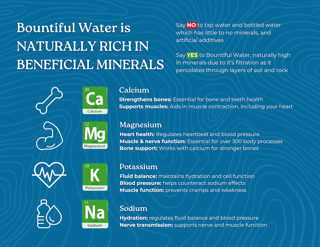 Bountiful Water | 1366 Currumbin Creek Rd, Currumbin Valley QLD 4223, Australia | Phone: 0478 511 759