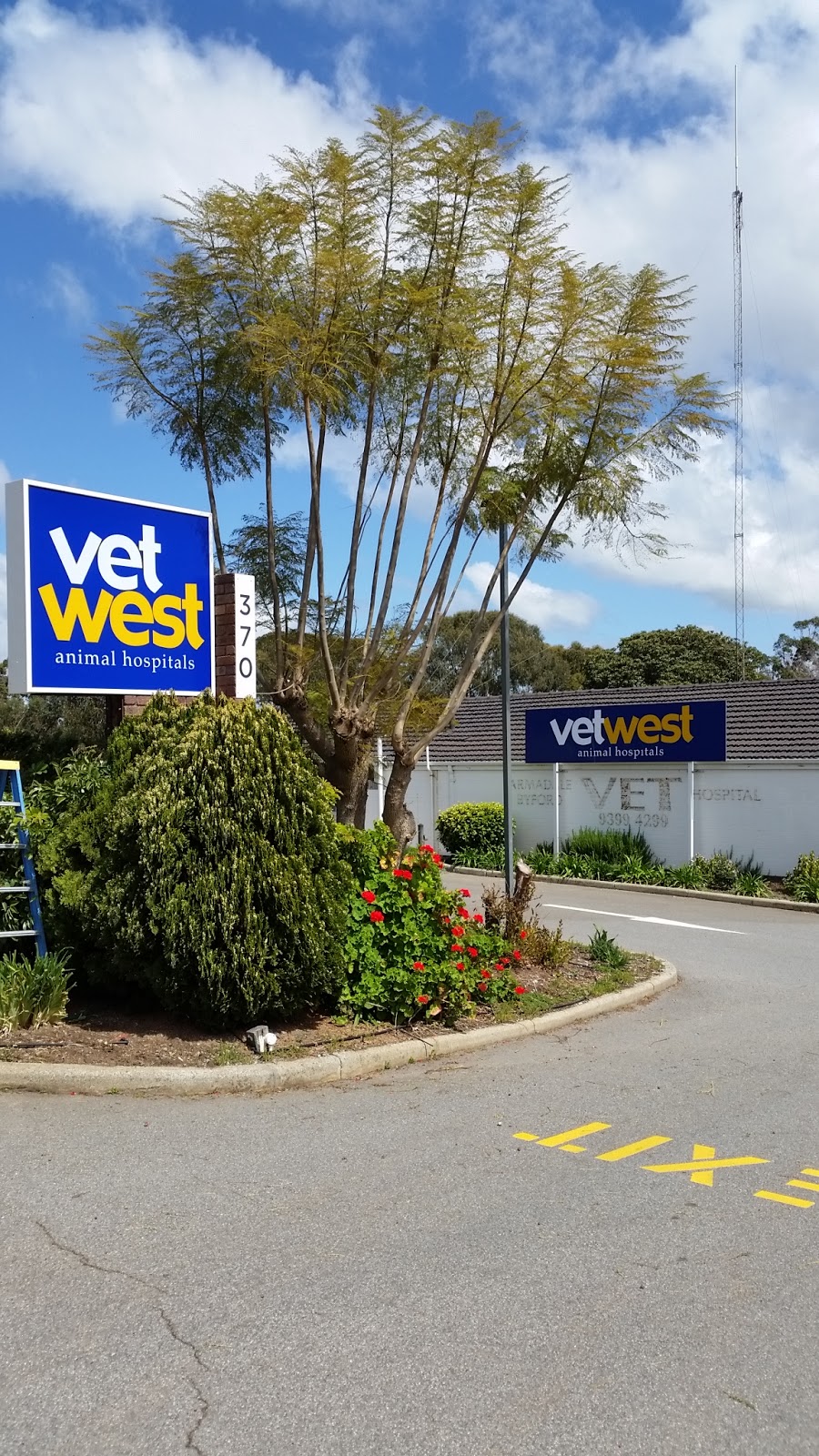 Vetwest Animal Hospitals Armadale Byford | veterinary care | 370 S Western Hwy, Wungong WA 6112, Australia | 0894041170 OR +61 8 9404 1170