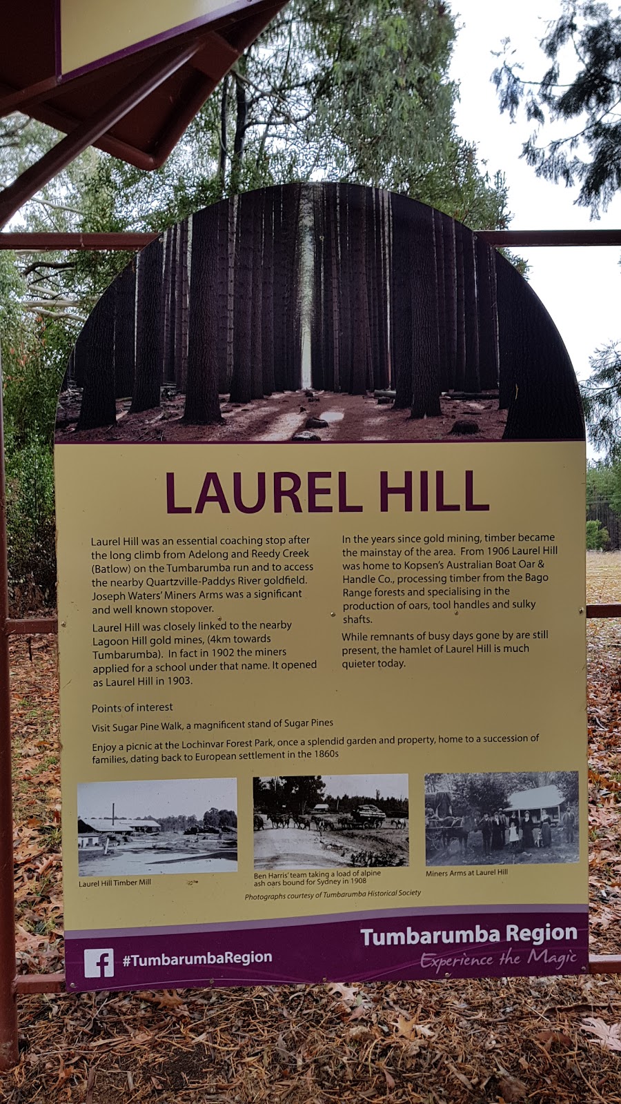 Lochinver Park | park | Laurel Hill NSW 2649, Australia