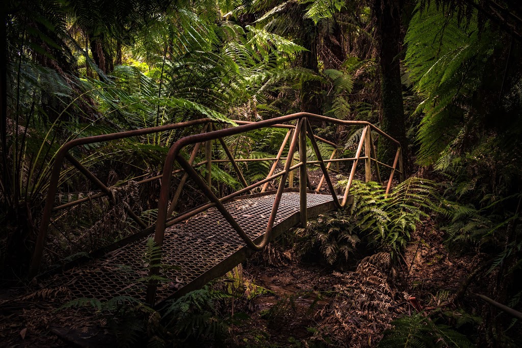 Glen Nayook Rainforest Walk | Paynter Rd, Neerim Junction VIC 3832, Australia
