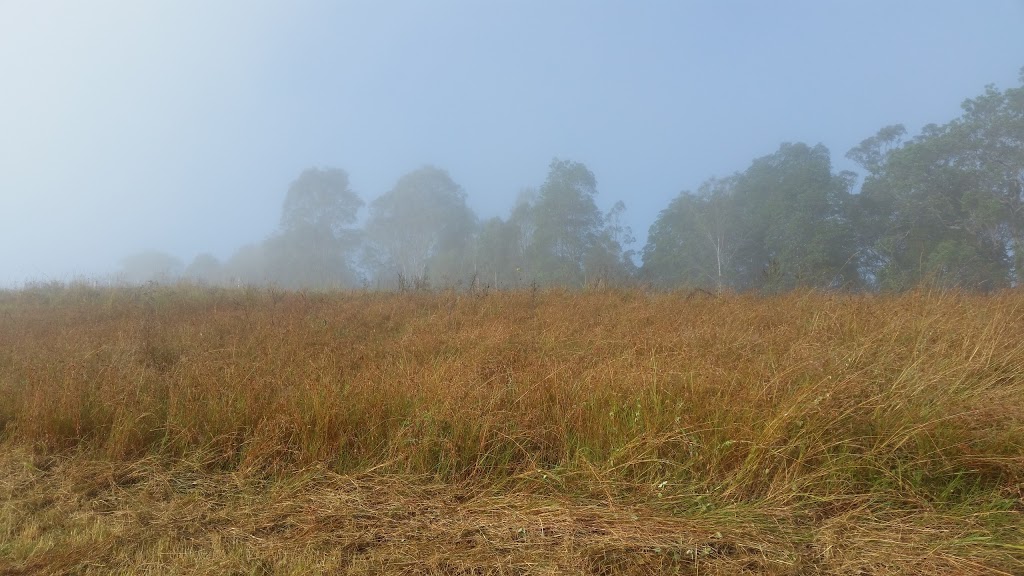 BUDA Organic Foods | 13 Meadow Ln, Conondale QLD 4552, Australia | Phone: 0499 115 519