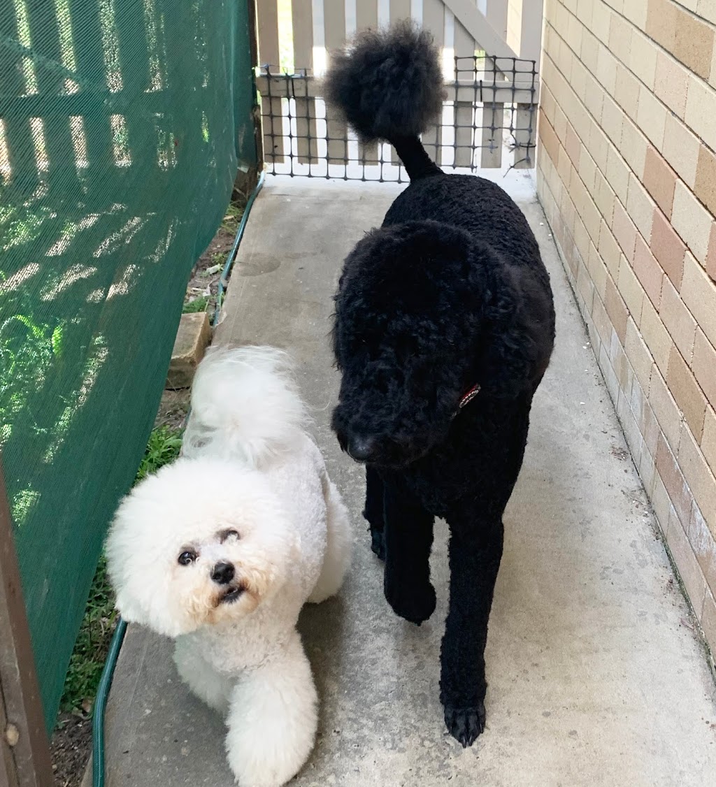 Little Brown Dogs SWR Dog Grooming |  | 19 Dilberang Cl, South West Rocks NSW 2431, Australia | 0439988918 OR +61 439 988 918