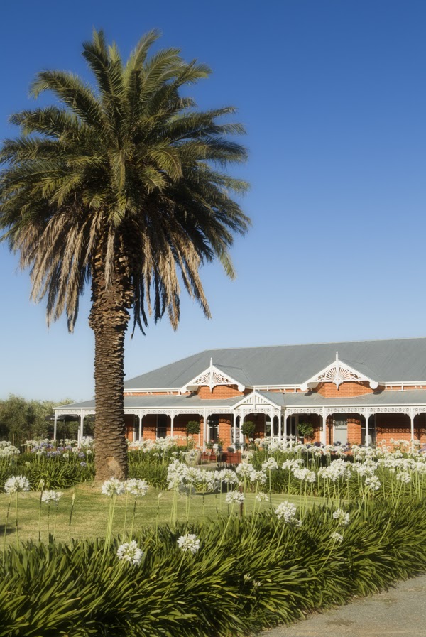 Greendale Grove - Olive & Produce Shop | 7230 Goulburn Valley Hwy, Kialla West VIC 3631, Australia | Phone: (03) 5823 2785