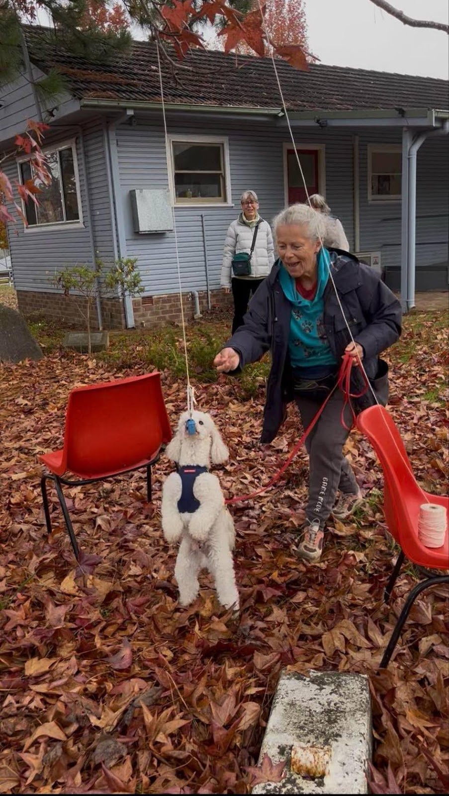 K-N9 Dog Training | 30 Bromhall Rd, Bundanoon NSW 2578, Australia | Phone: 0408 027 874