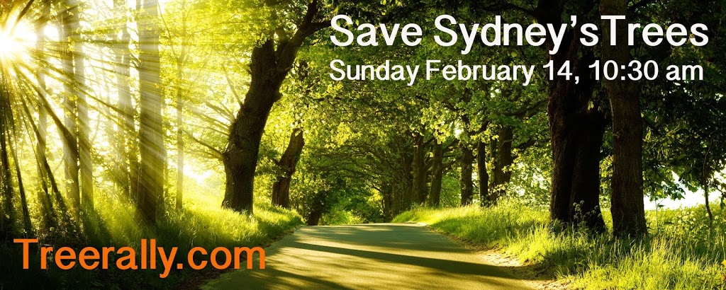 Sydneytreerally | 43 Alison Rd, Randwick NSW 2031, Australia | Phone: (02) 9211 5022