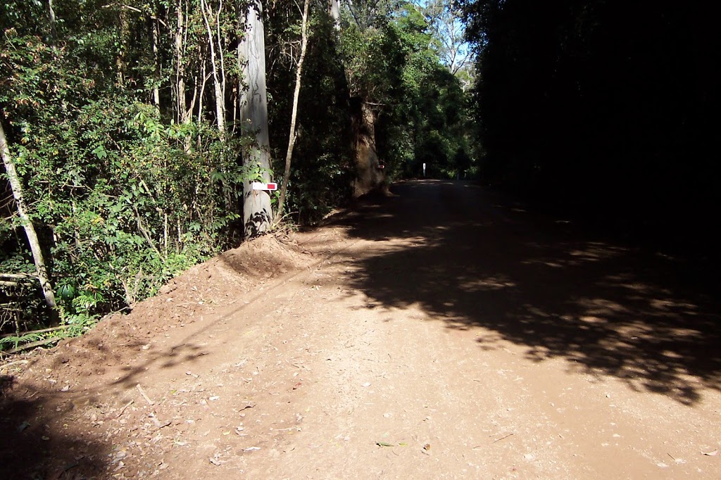 Pokolbin State Forest | park | Cedar Creek NSW 2325, Australia