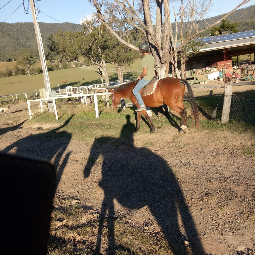 Gummies Bush Camps | 400 Biddaddaba Creek Rd, Canungra QLD 4275, Australia | Phone: (07) 5543 0191