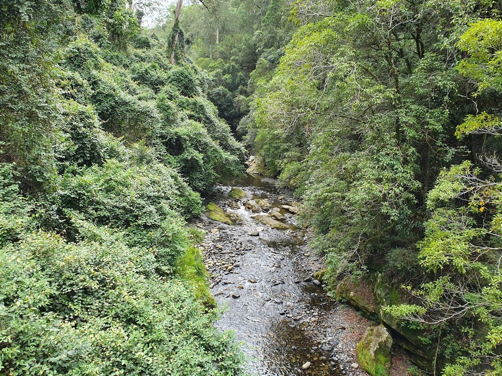 Barrington Tops National Park New South Wales, Australia