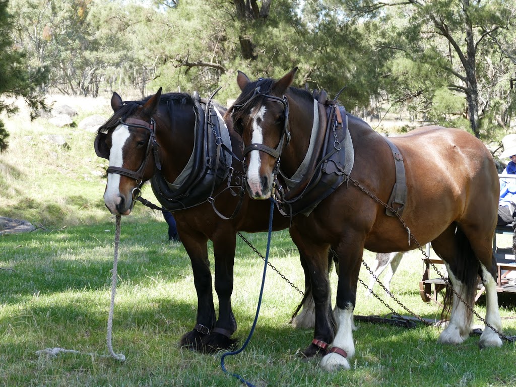 Yarralong B&B and Farm Stay | lodging | 2592 Bundarra Rd, Yarrowyck NSW 2358, Australia | 0267755581 OR +61 2 6775 5581