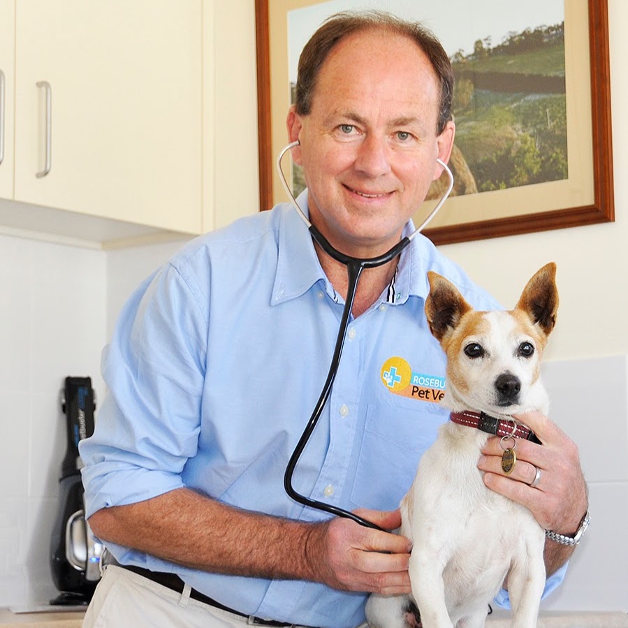 Rosebud Pet Vet | veterinary care | 874 Point Nepean Rd, Rosebud VIC 3939, Australia | 0359861555 OR +61 3 5986 1555