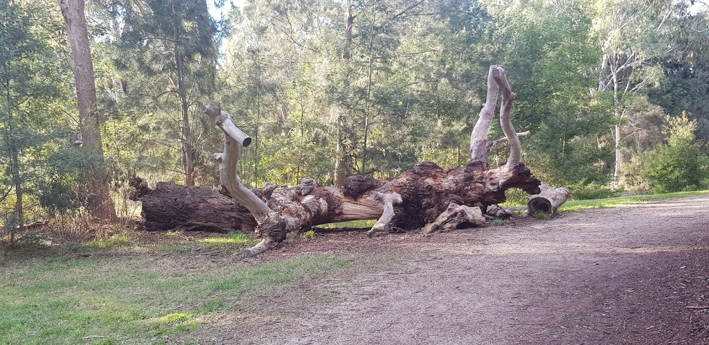 Gardiners Creek Trail | Gardiners Creek Trail, Box Hill South VIC 3128, Australia