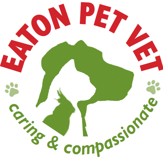 Eaton Pet Vet | veterinary care | 7 Millard St, Eaton WA 6232, Australia | 0897252008 OR +61 8 9725 2008