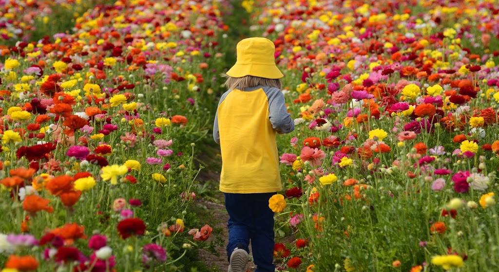 Tristania Farm | 25 Kirkland Rd, Nimbin NSW 2480, Australia | Phone: 0438 420 091