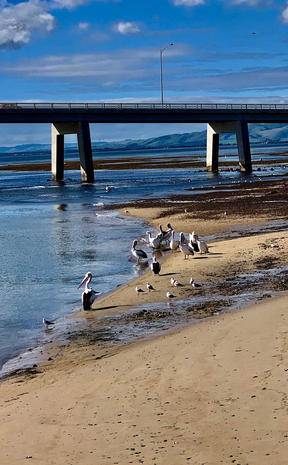 Wildlife Cruises |  | 190 Marine Parade, San Remo VIC 3925, Australia | 1300763739 OR +61 1300 763 739