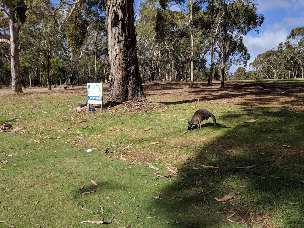 Echunga Golf Club |  | Hahndorf & Dolman Roads, Echunga SA 5153, Australia | 0883888038 OR +61 8 8388 8038