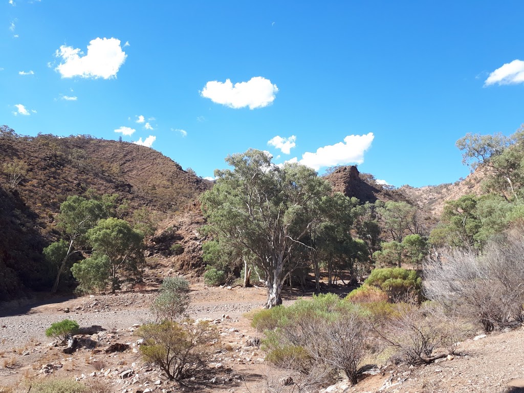 Teamsters Campground | campground | Brachina Gorge Rd, Flinders Ranges SA 5434, Australia