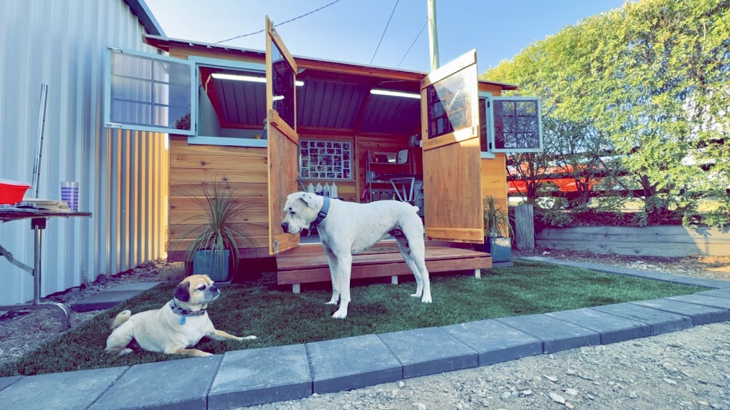 Shampooches Pet Grooming Salon | 3546 Mount Mee Rd, King Scrub, Dayboro QLD 4521, Australia | Phone: 0407 303 359