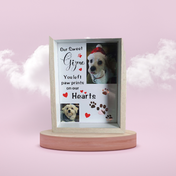 Southern Beaches Gifts & Crafts | 9 Elise Dr, Dodges Ferry TAS 7173, Australia | Phone: 0450 988 568