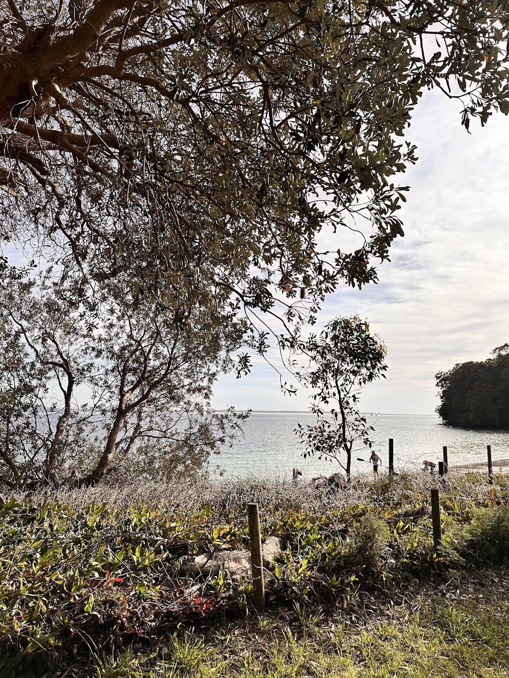 Dutchies Dream | 59 Christmas Bush Ave, Nelson Bay NSW 2315, Australia | Phone: (02) 4044 5021