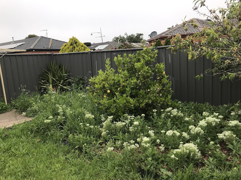 DKB Garden Maintenance | 402 Loop Rd, Glengarry TAS 7275, Australia | Phone: 0403 311 080