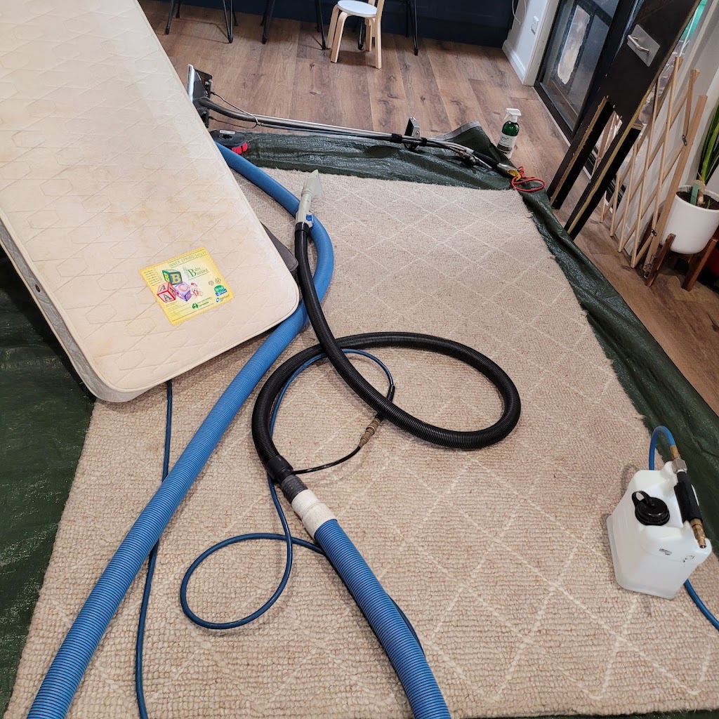 Steam Hero Carpet Cleaning | 91 Barnea Ave, Caddens NSW 2747, Australia | Phone: 0426 378 100