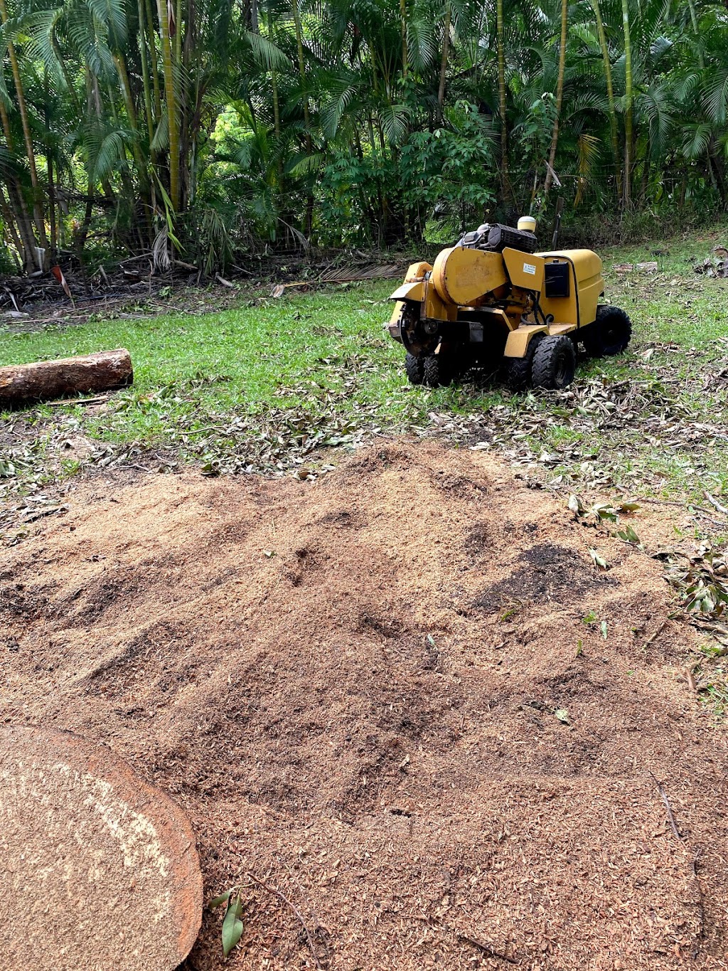 Woodys Stump Grinding | Lake Cooroibah Rd, Cooroibah QLD 4565, Australia | Phone: 0492 902 802