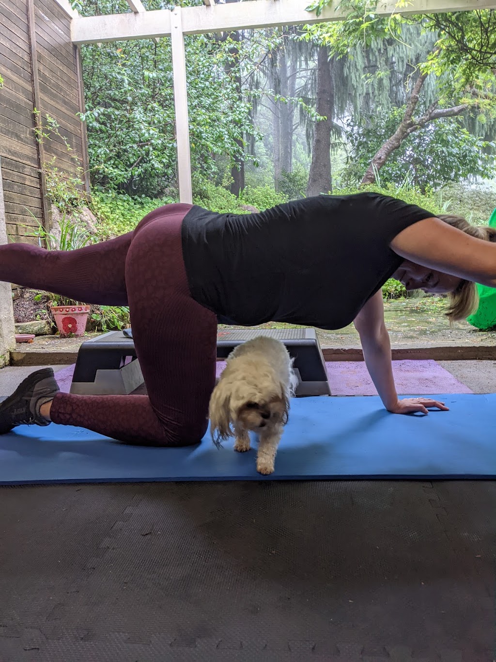 Ruby Health and Fitness | 3 St Georges Rd, Leura NSW 2780, Australia | Phone: 0411 018 580