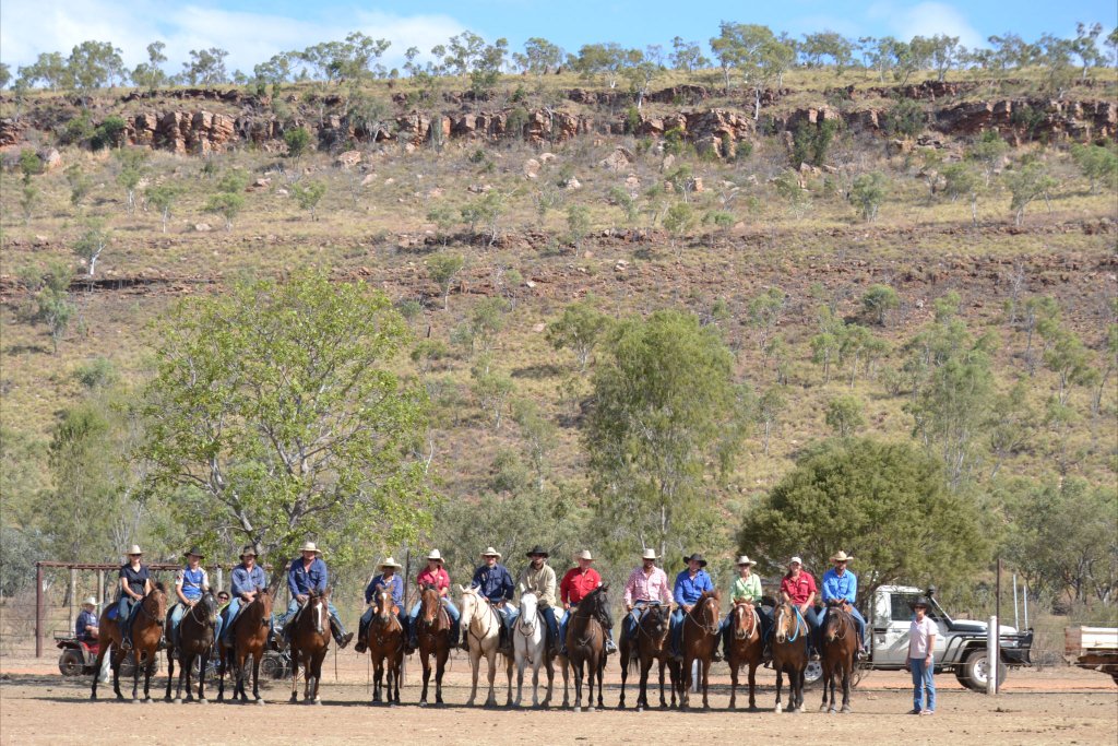 Ian Francis Horsemanship | 1014 Tingoora Chelmsford Rd, Chelmsford QLD 4606, Australia | Phone: (07) 4168 5444