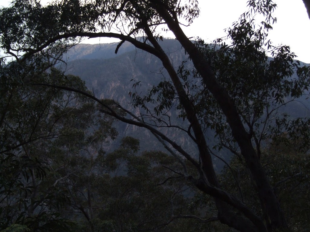 Lake Creek Camping Area | Bourkes Rd, Wadbilliga NSW 2546, Australia