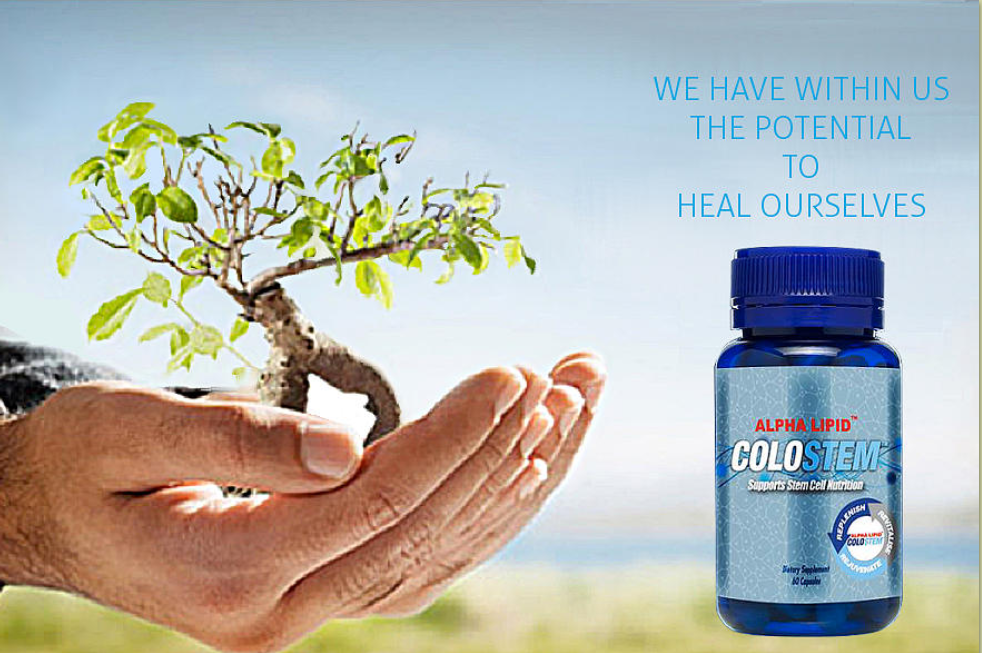 Health With Nature, Health & Wellbeing Supplements | store | 2057 Strathalbyn Rd, Flaxley SA 5153, Australia | 0883889549 OR +61 8 8388 9549