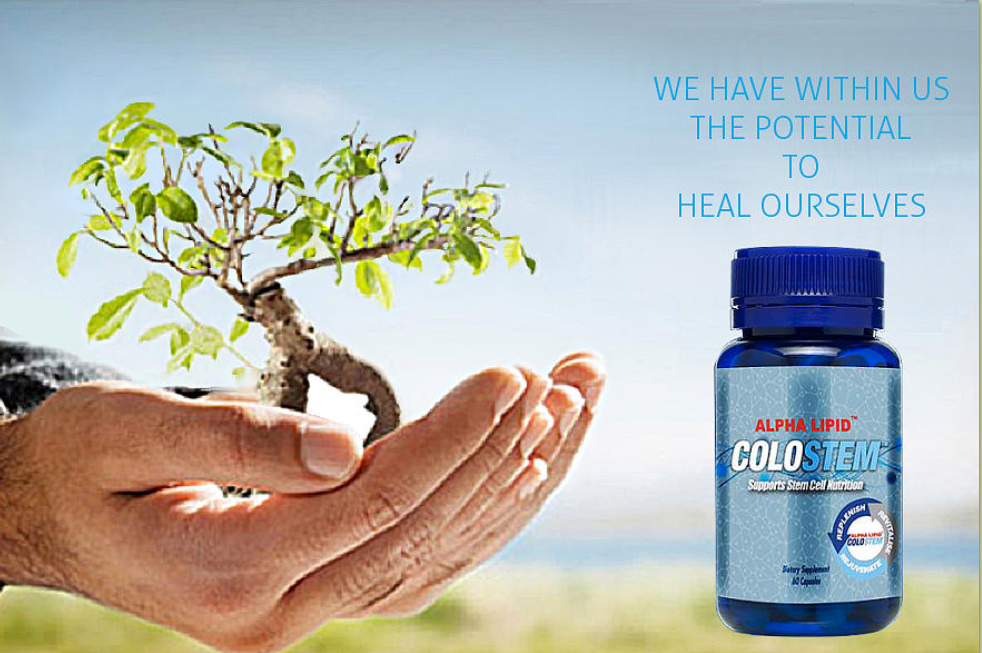 Health With Nature, Health & Wellbeing Supplements | 2057 Strathalbyn Rd, Flaxley SA 5153, Australia | Phone: (08) 8388 9549