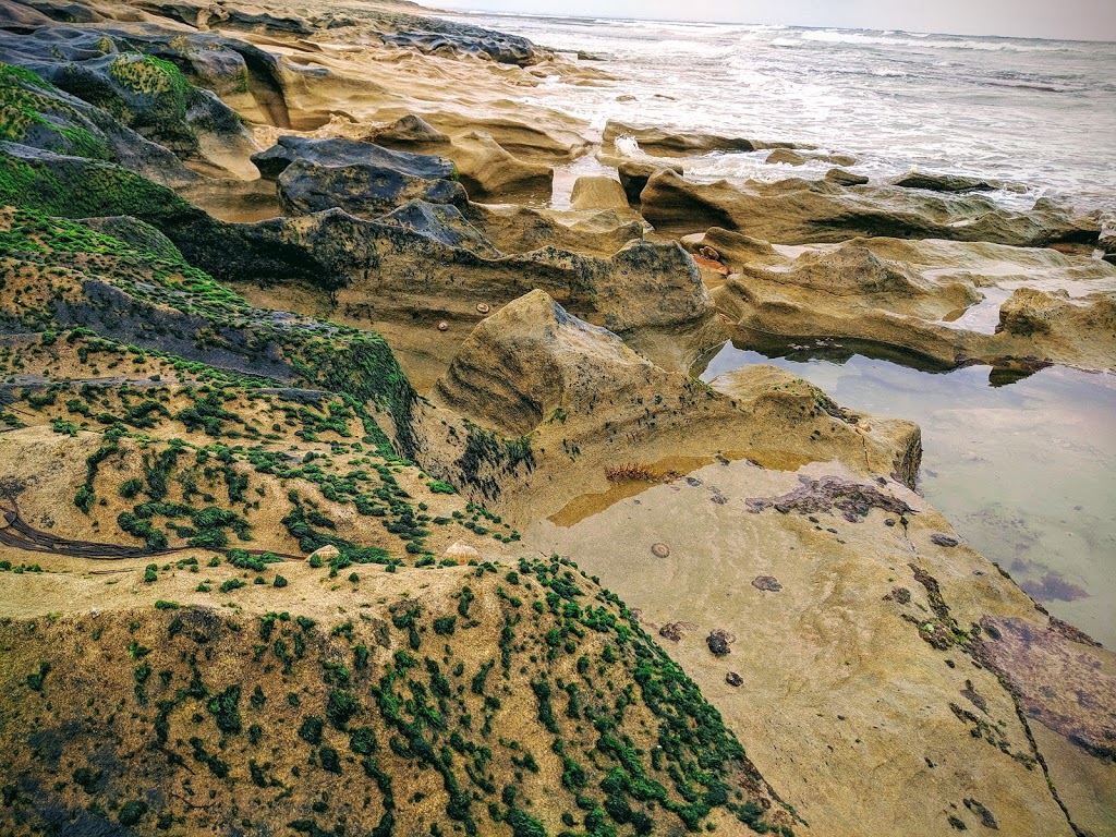 Foreshore Reserve | Barwon Heads VIC 3227, Australia