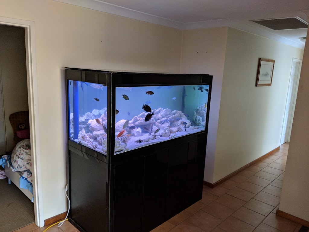 Robs Aquarium | 7/1890 Beach Rd, Malaga WA 6090, Australia | Phone: (08) 9209 1282