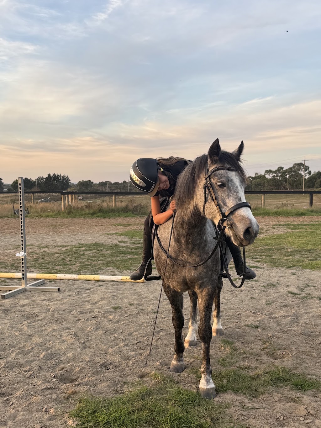 Hustwaite Performance Horses | 64 Dandenong-Hastings Rd, Somerville VIC 3912, Australia | Phone: 0433 888 395