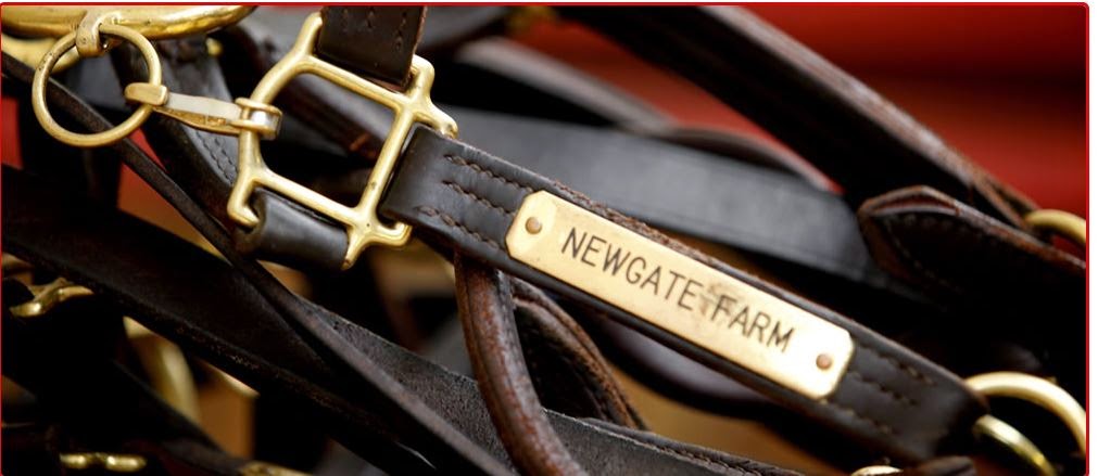 Newgate Stud Farm | 586 Rouchel Rd, Aberdeen NSW 2336, Australia | Phone: (02) 6543 8395