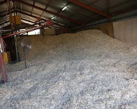 Woodsys Shavings | Kenilworth St, Warwick QLD 4370, Australia | Phone: 0408 403 677