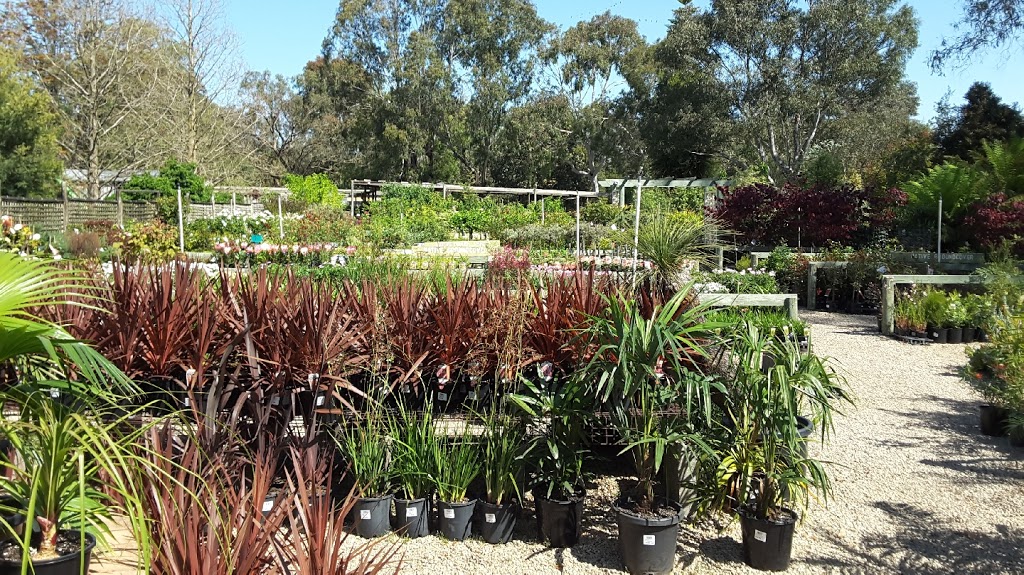 Wholesale Plants Direct | 640 Cranbourne-Frankston Rd, Cranbourne South VIC 3977, Australia | Phone: 0426 966 057