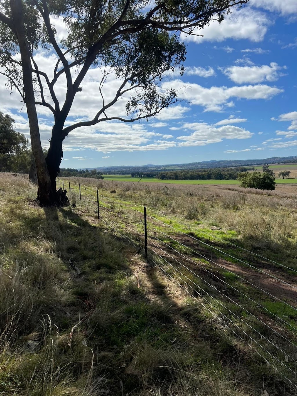 Dubbo Allfence | 6 Williams Cct, Dubbo NSW 2830, Australia | Phone: 0448 474 715
