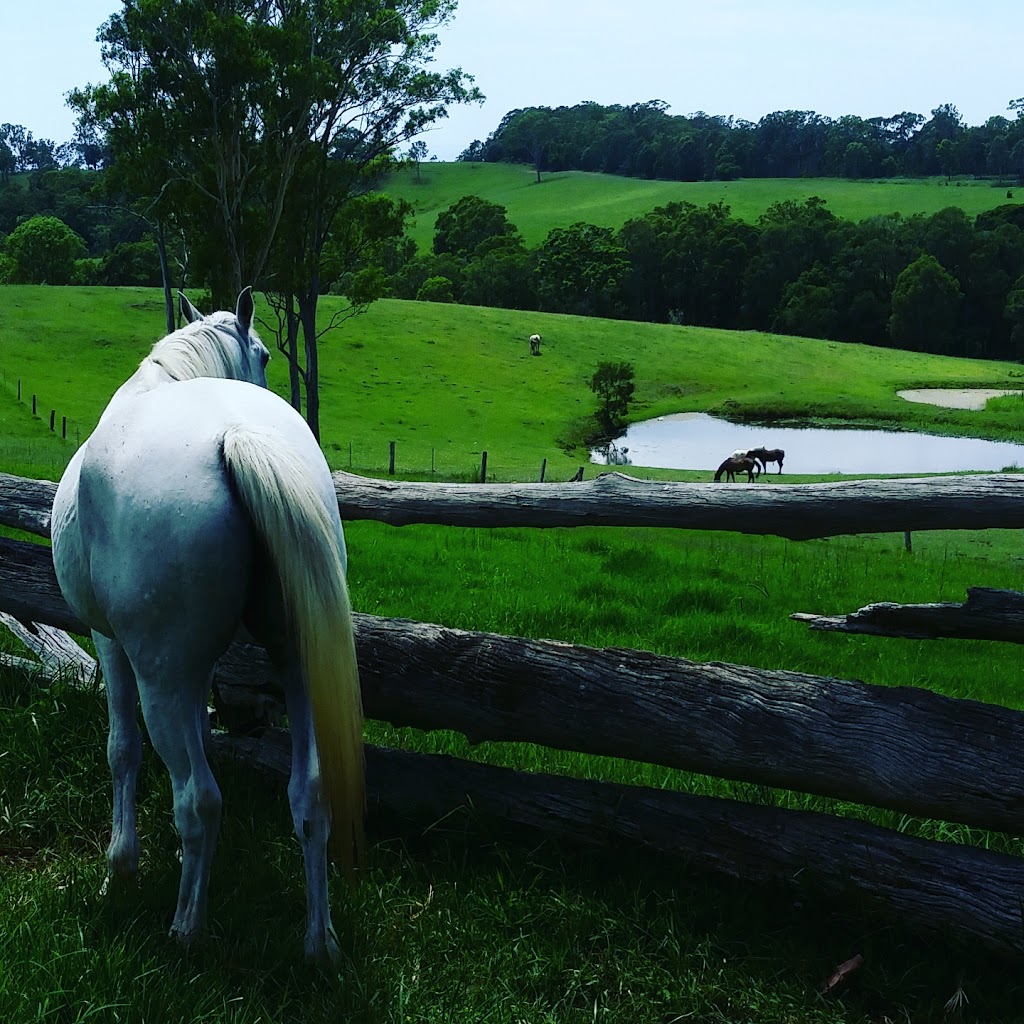 Slickers Horse Riding | travel agency | 190 Ocean View Rd, Ocean View QLD 4521, Australia | 0414877562 OR +62 414 877562