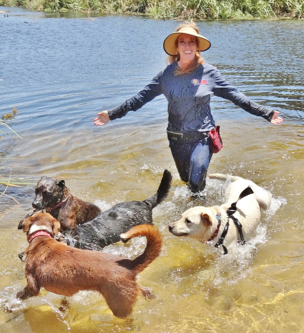 All4Paws Dog Training | 40 Macquarie St, Bolton Point NSW 2284, Australia | Phone: 0407 008 004